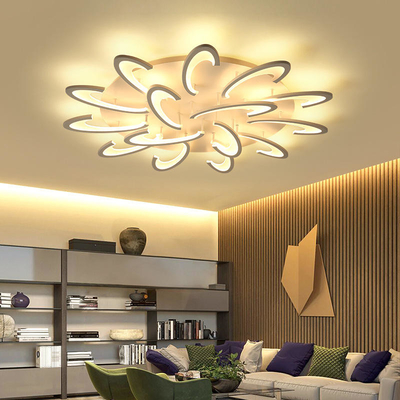Creative Personality LED Ceiling Light Home Hall Dining Room Bedroom Lamp