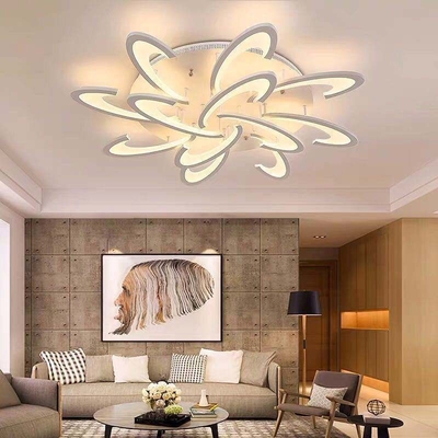 Creative Personality LED Ceiling Light Home Hall Dining Room Bedroom Lamp